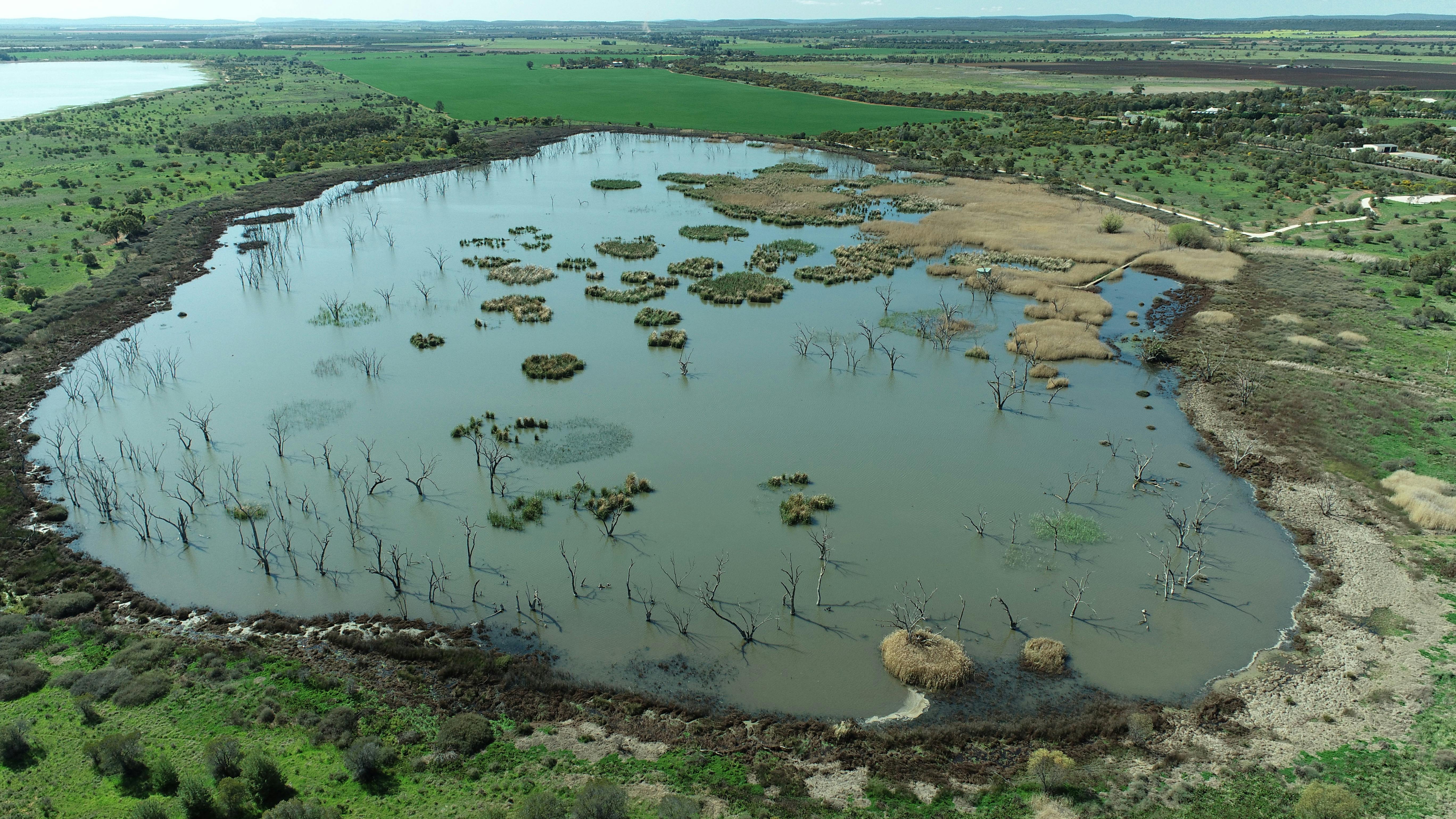 Campbell's Wetlands - Aerial View