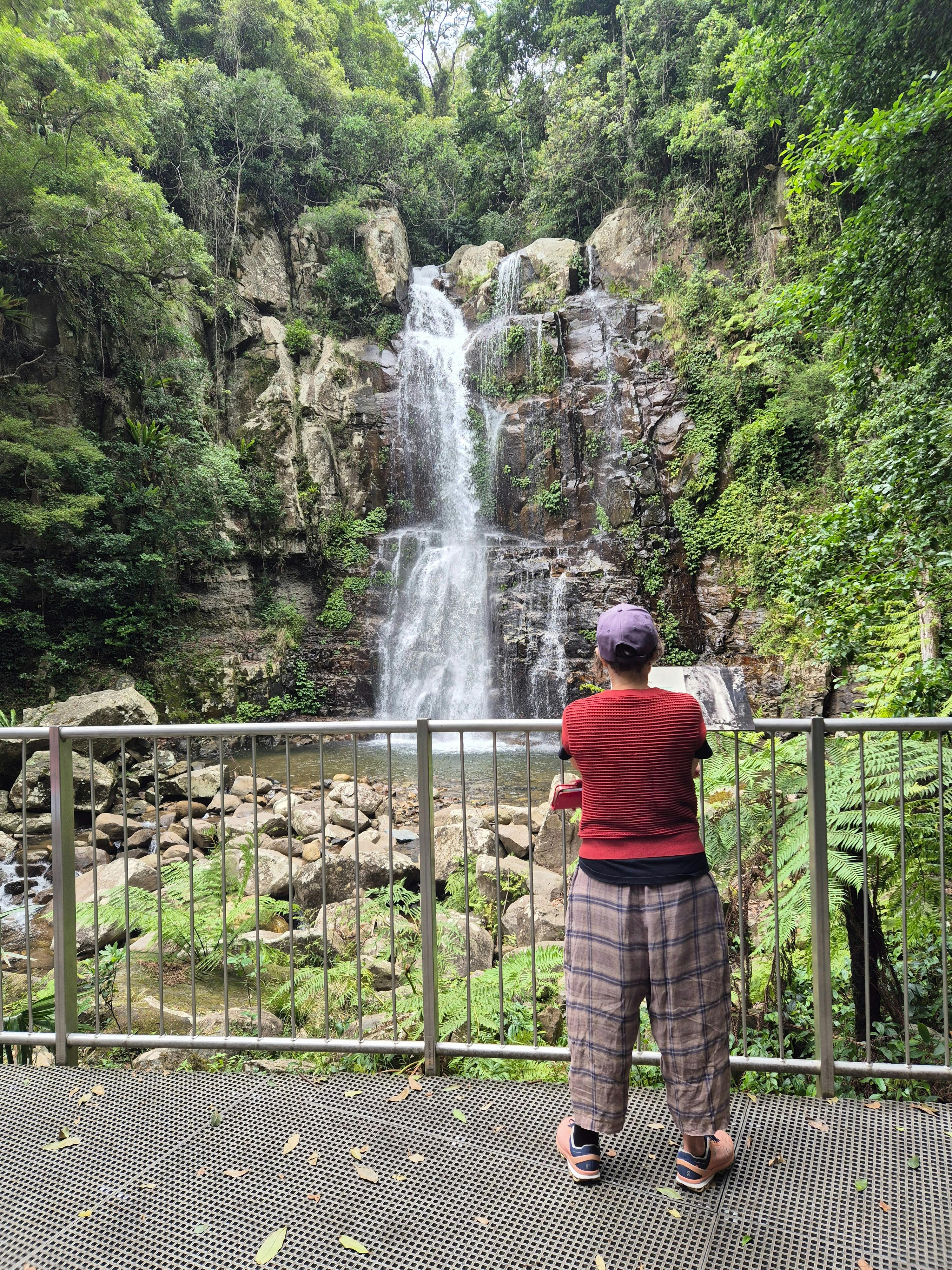 Southern Highlands Walking Tour – Rainforest to Waterfalls