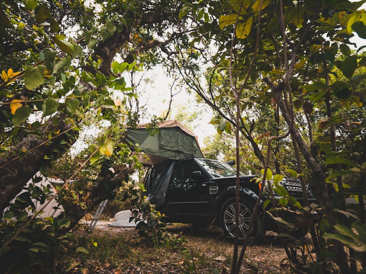 Rooftop tent set up in the bush