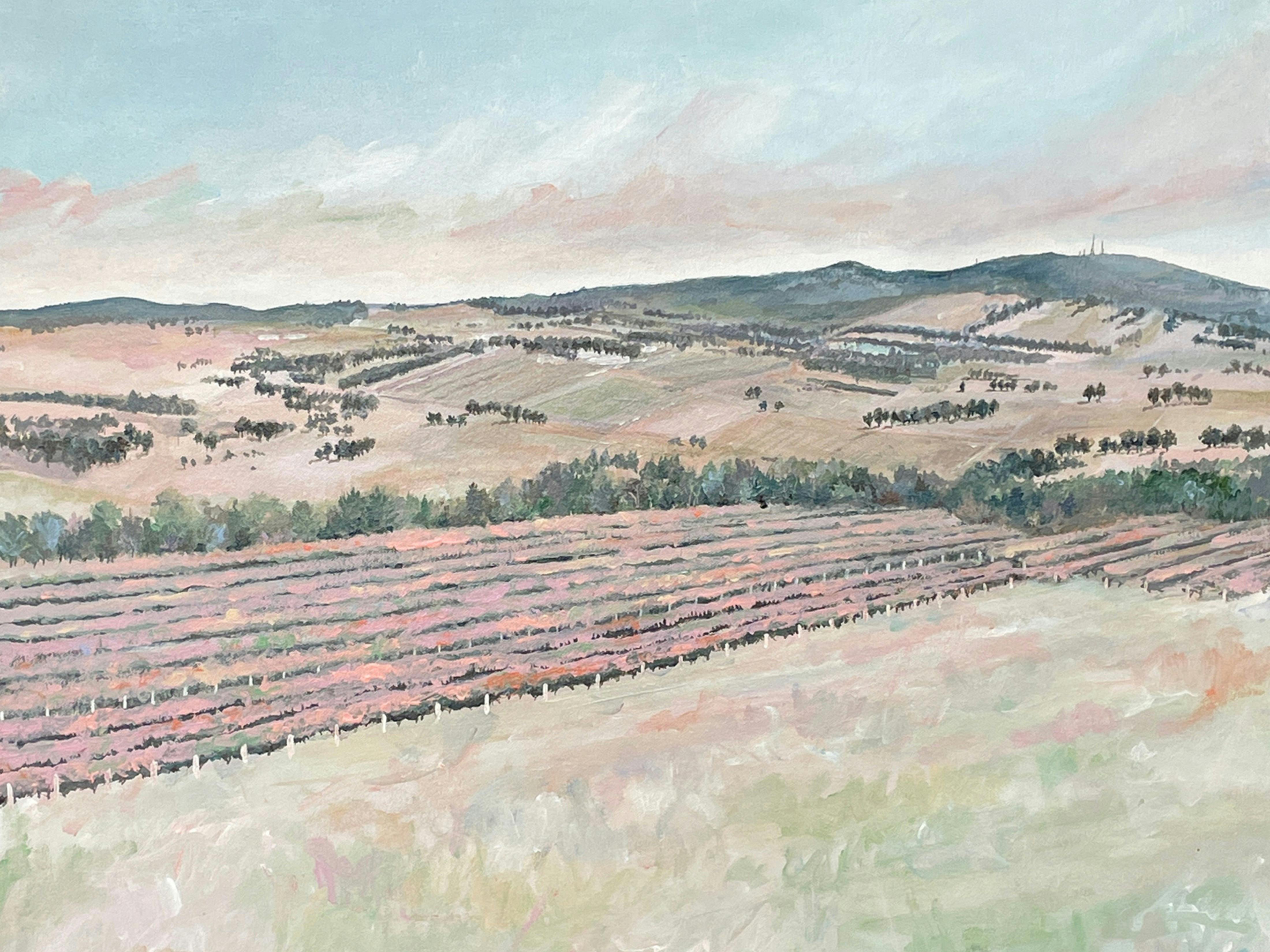 Vineyard and Mt Canobolas view