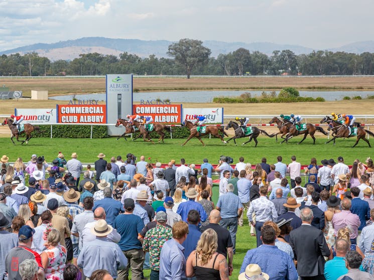 Commercial Club Albury Gold Cup