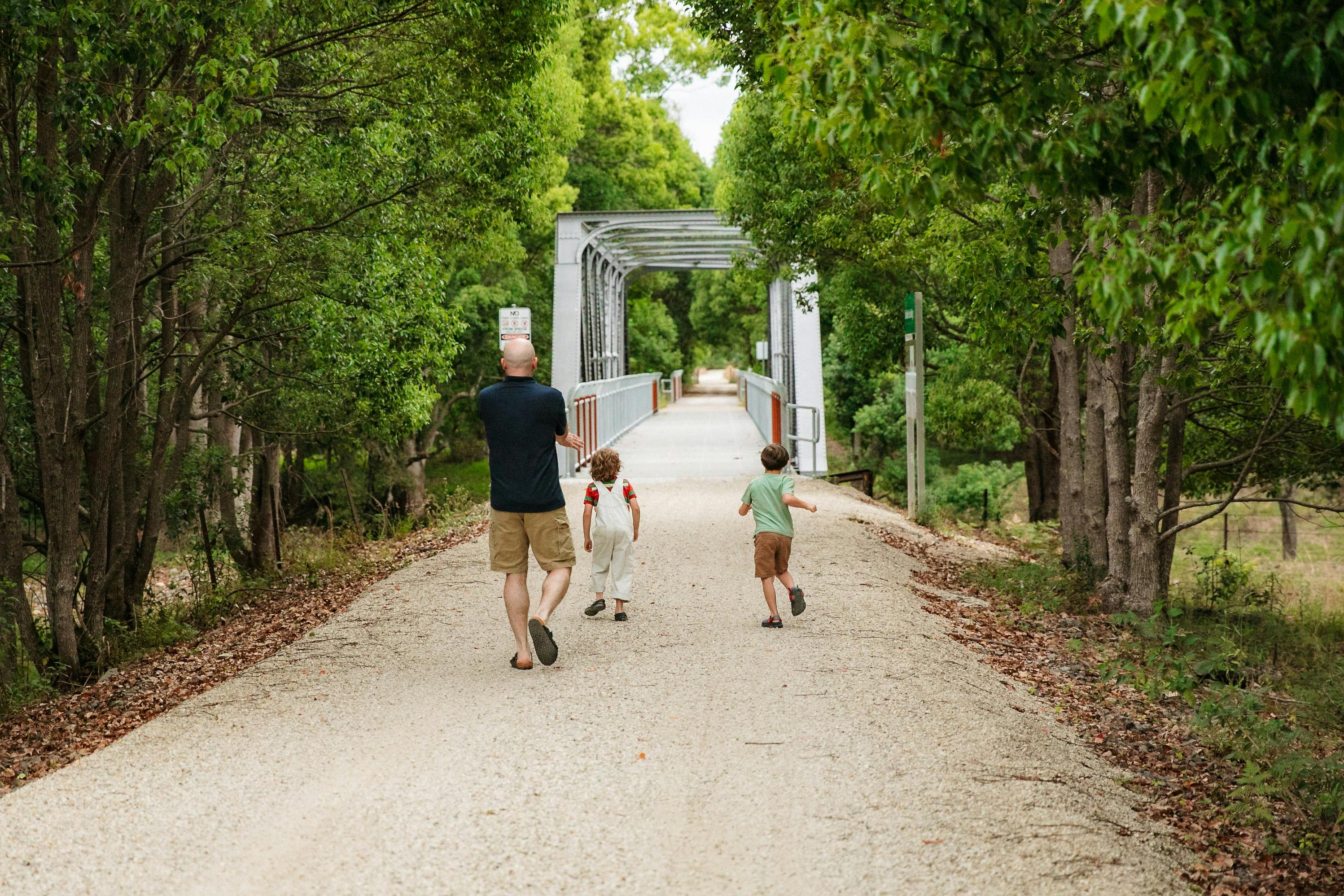 レールトレイルのダンバイブル橋