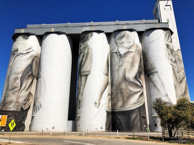 Coonalpyn Silo Art
