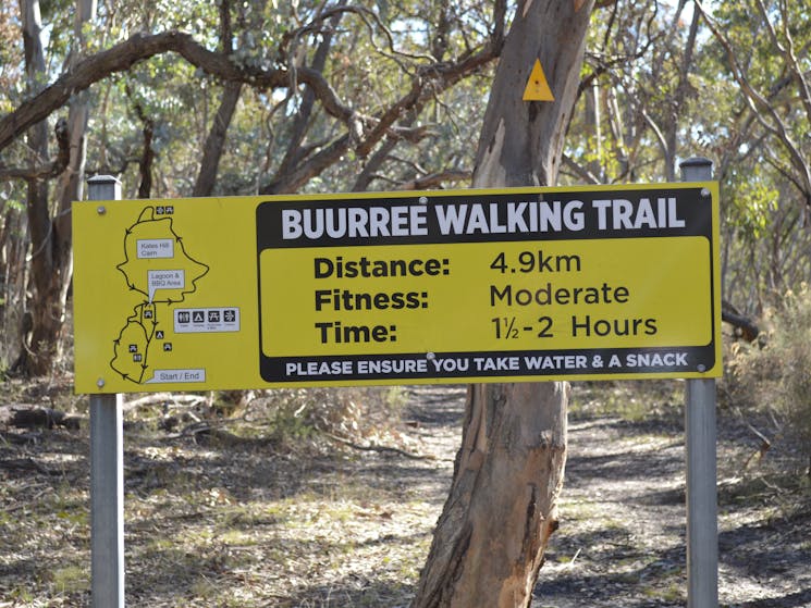 Bush Walking, Bathurst, Wattle Falt