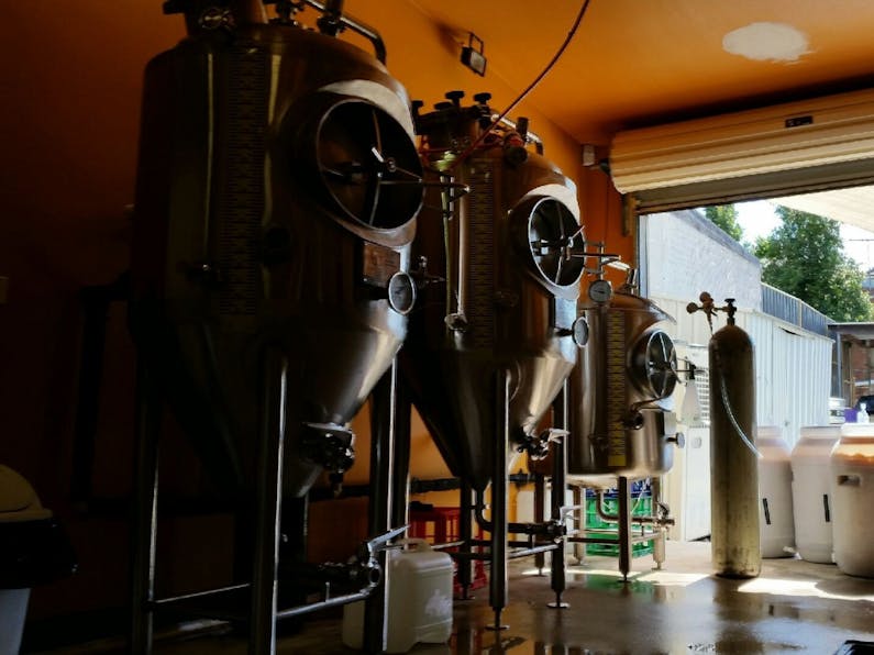 Image of the event 'Flat Rock Brewery Craft Beer Tasting'