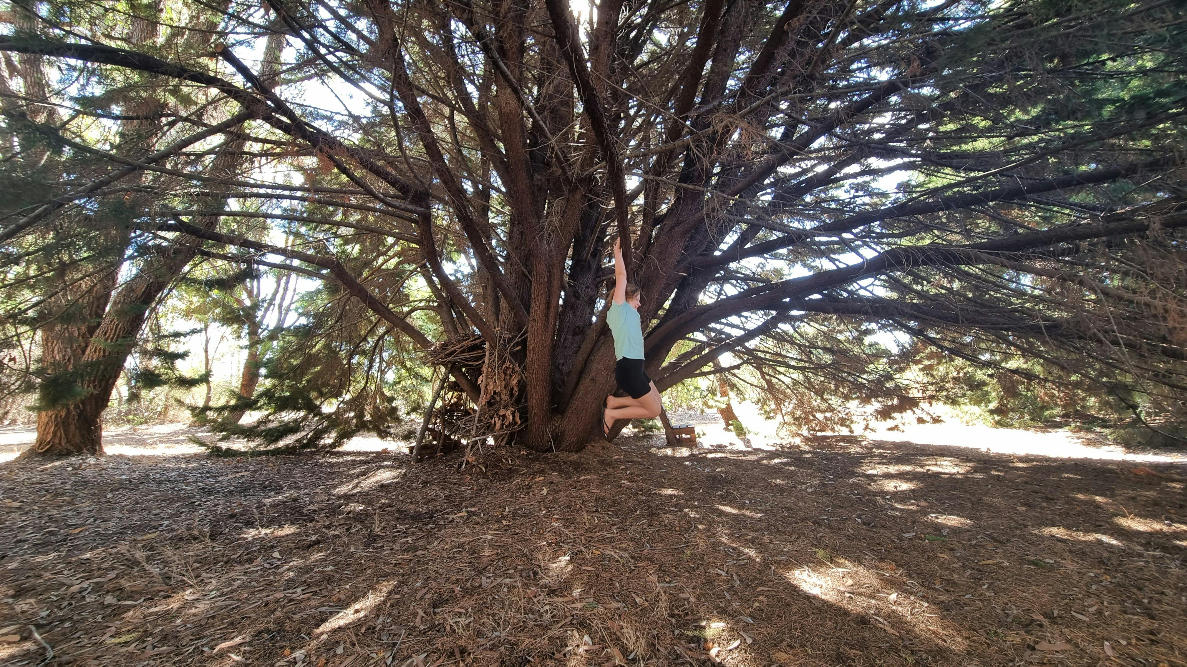 Forest School Manjimup