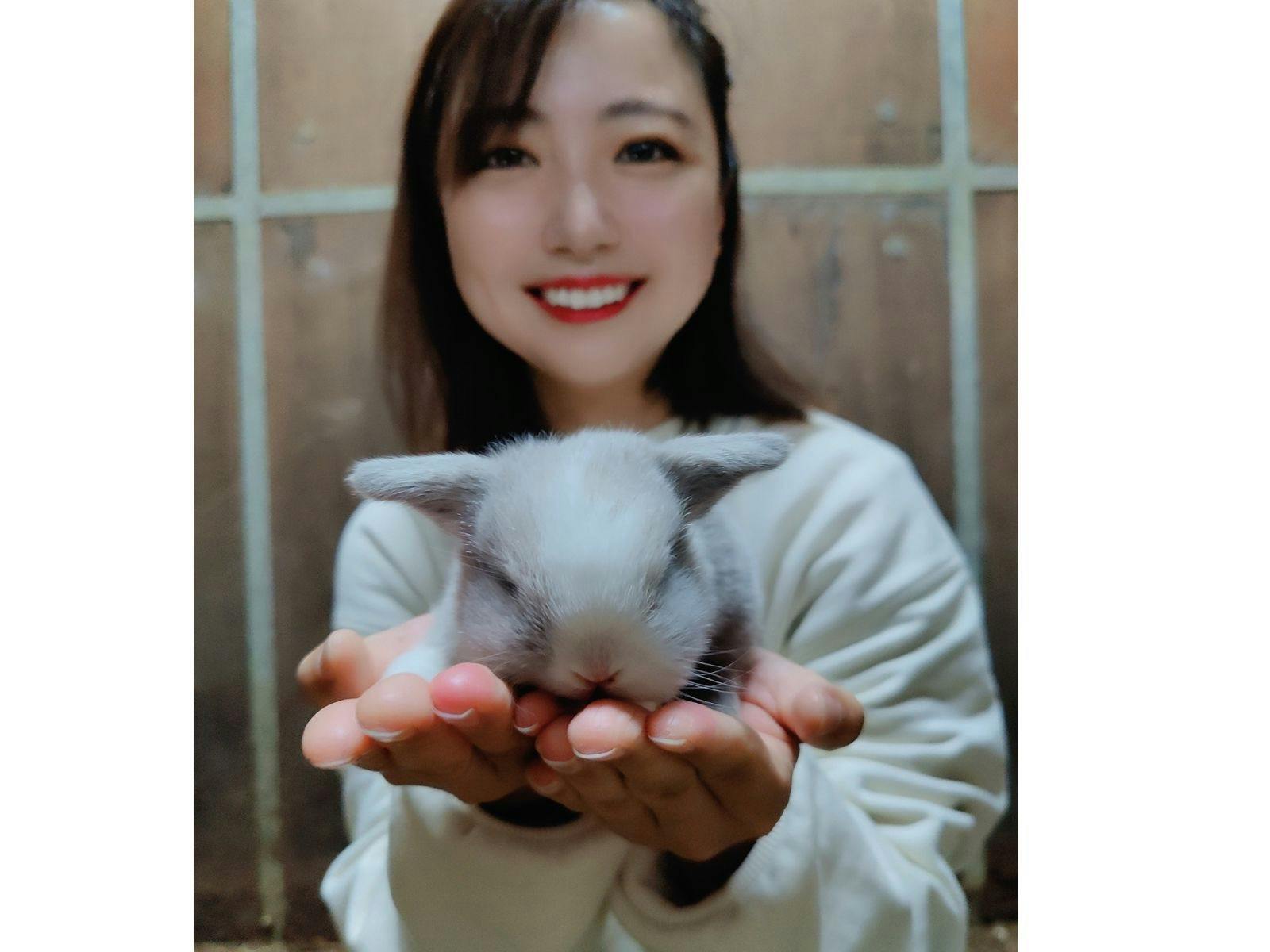 Close-up of an adorable fluffy bunny resting gently in the palms of a woman’s hands