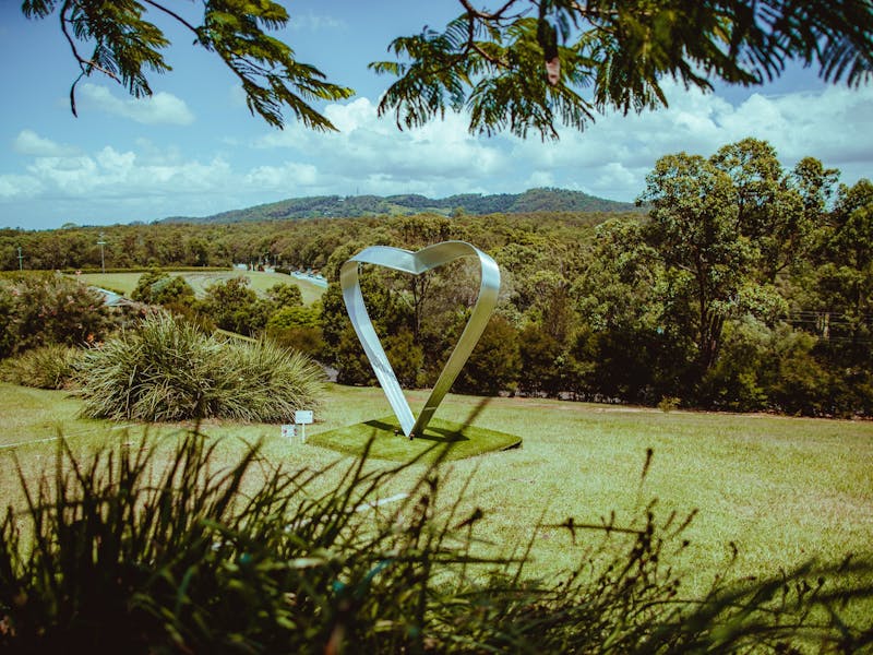 Image for Sculpture in the Vines