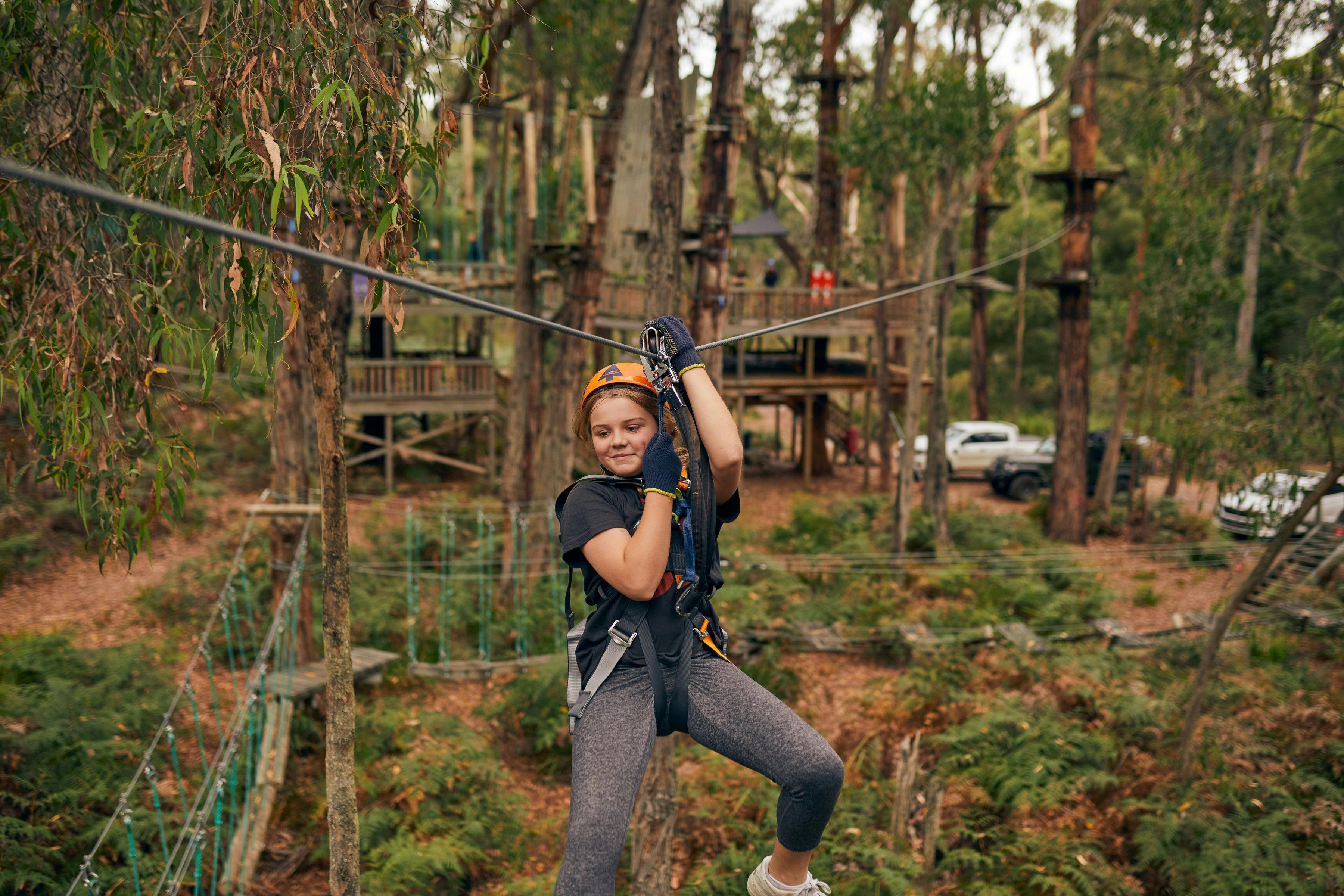 Treetops Belgrave High Ropes Course