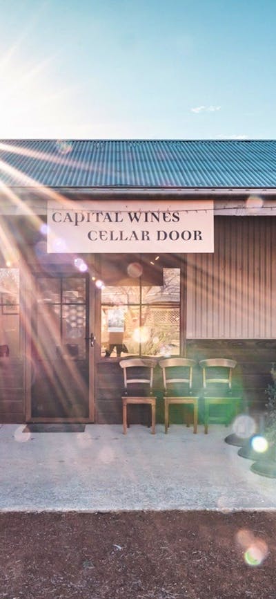Cellar Door 2