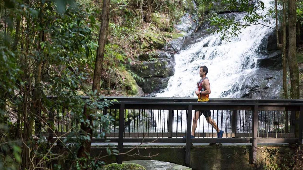 Kondalilla Falls