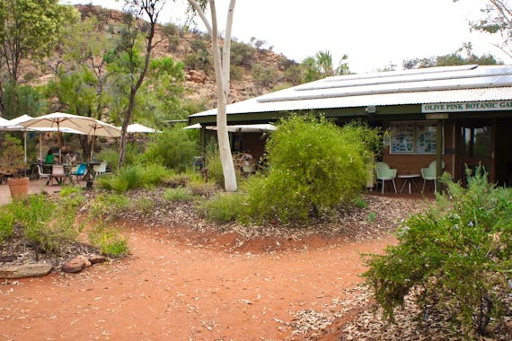 Olive Pink Botanic Garden