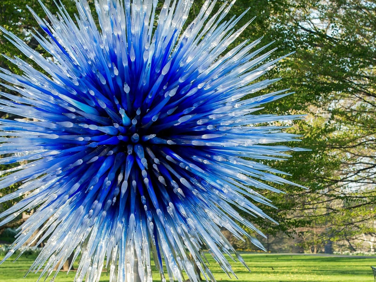 Chihuly in the Botanic Garden