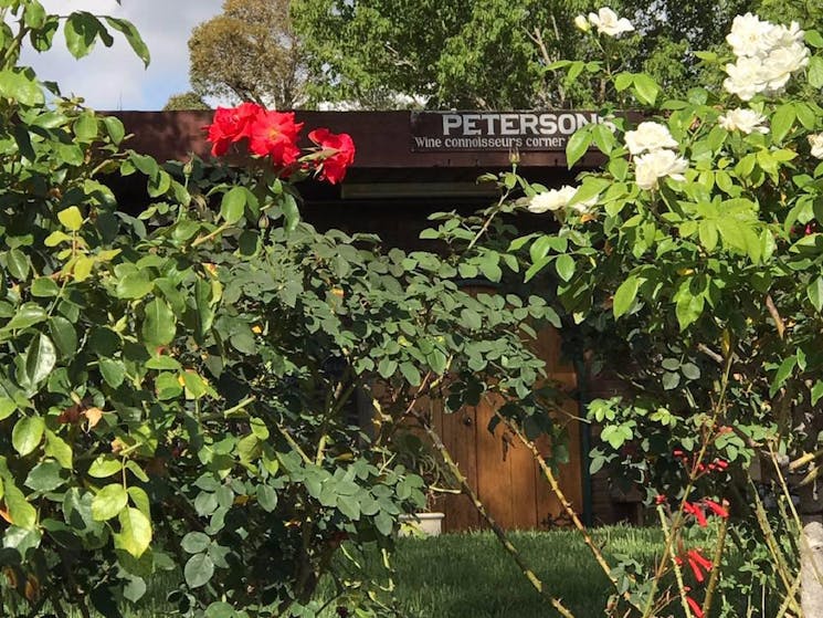 Petersons Wines