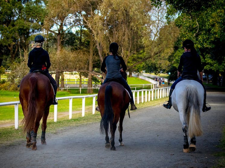 Centennial Stables