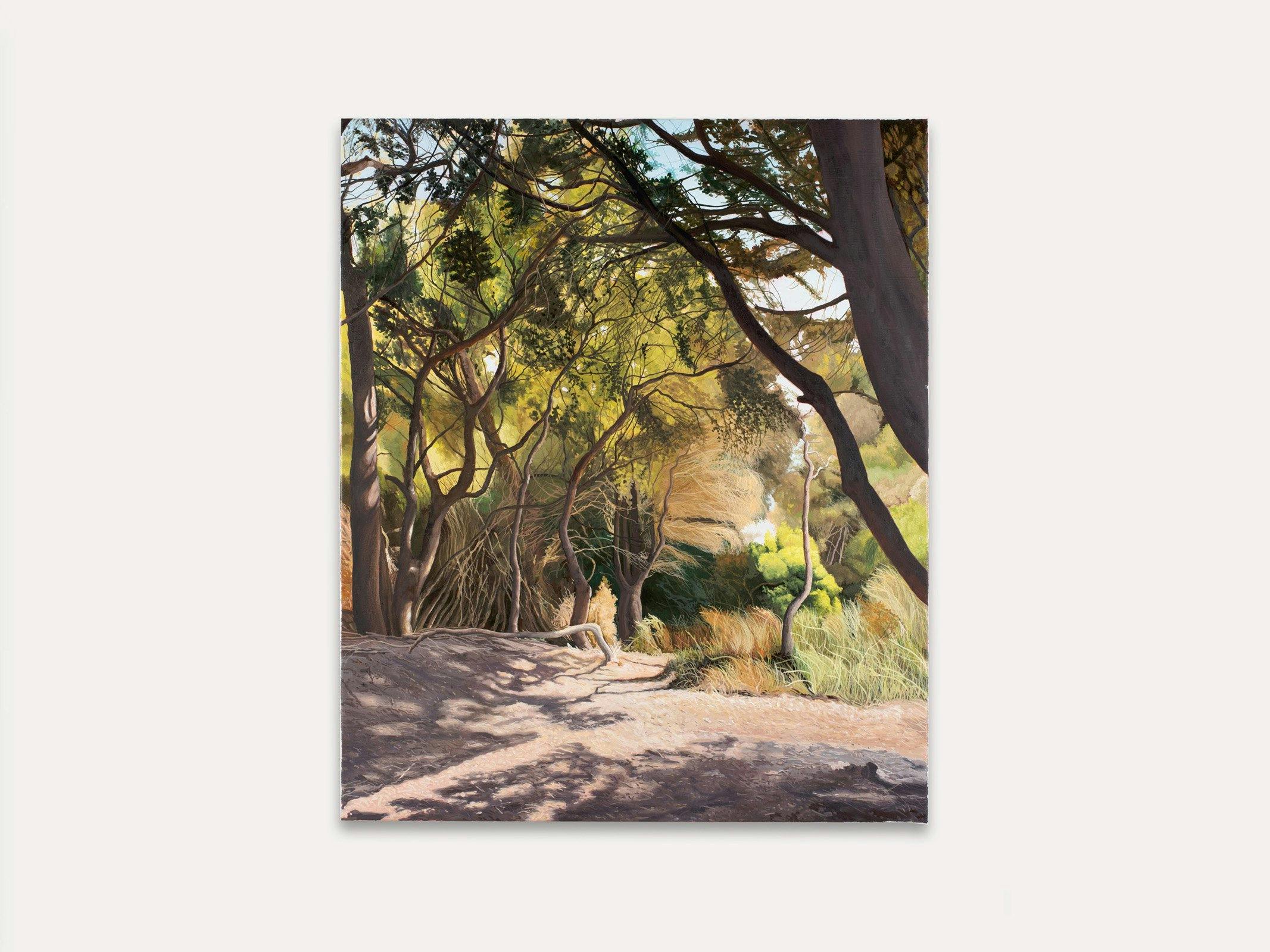 A painting of a sun-dappled path bordered by she oaks on either side.