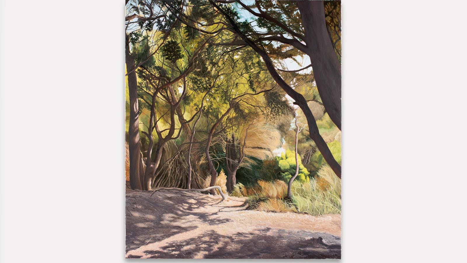 'Waking on a sunny day, Narawntapu' 2026, oil on linen, 122 x 102 cm
