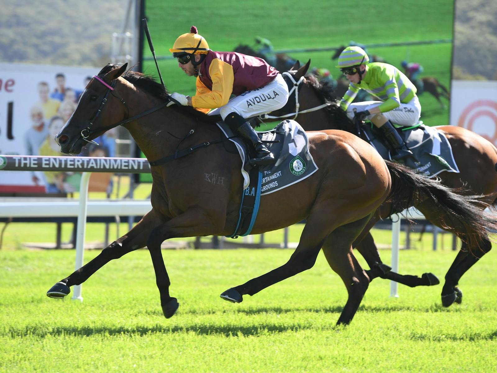 Image for The Entrance Leagues Club Raceday