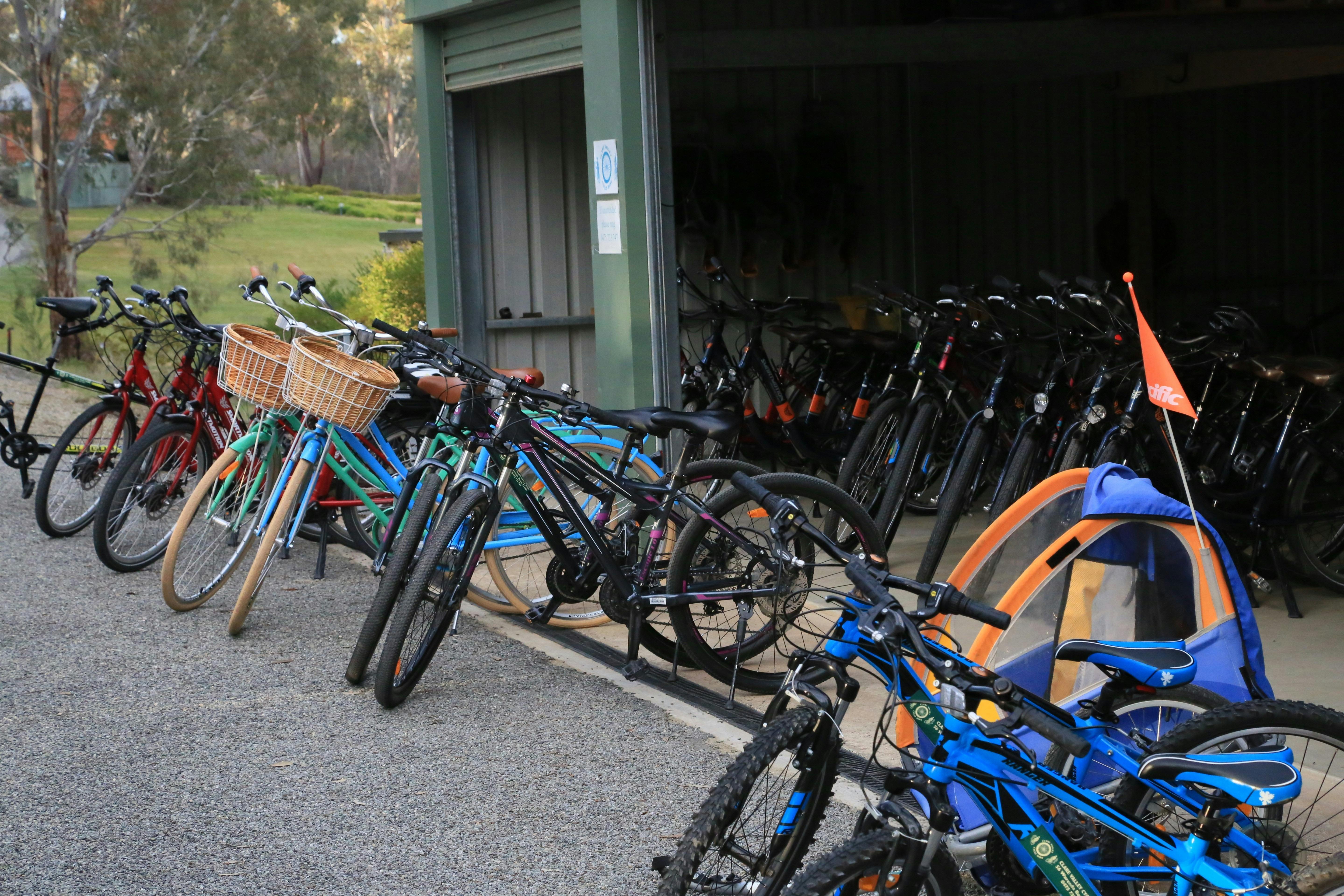 Bikes at our shed
