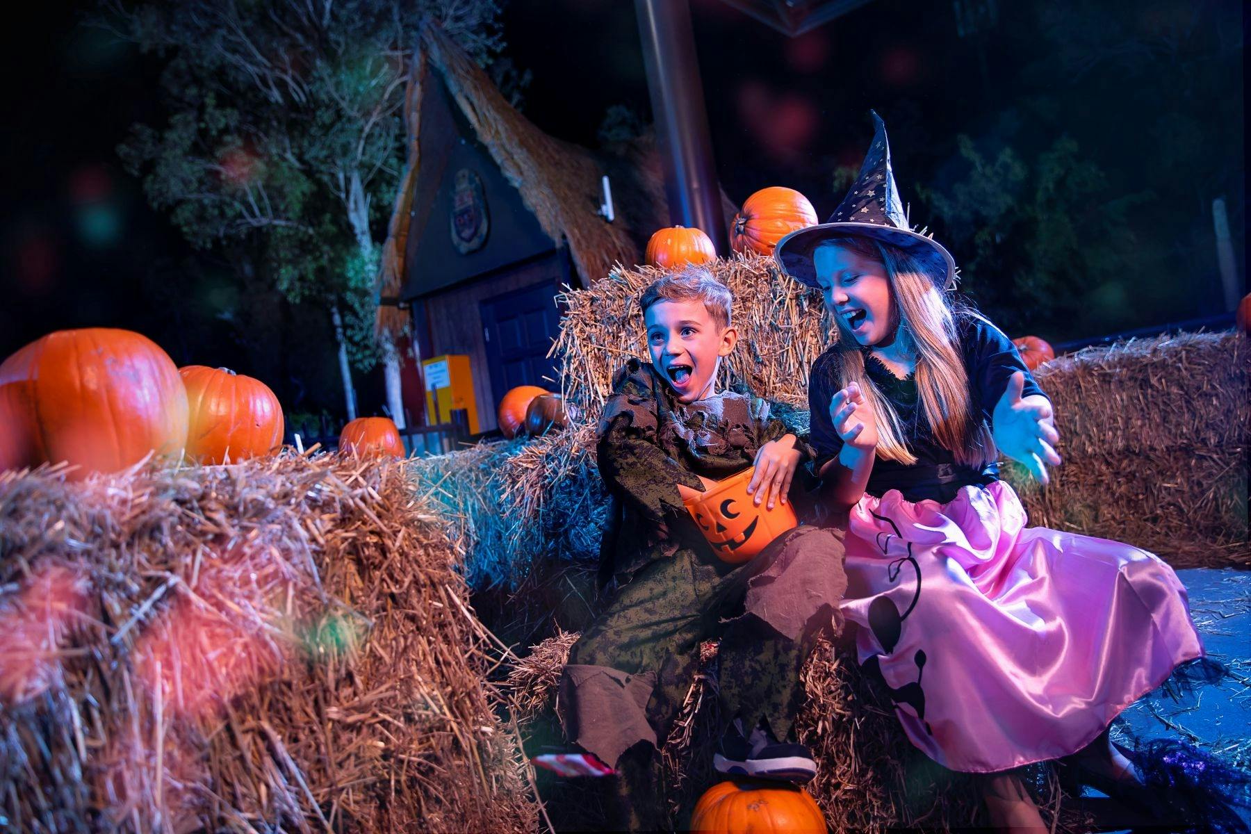 people and pumpkins