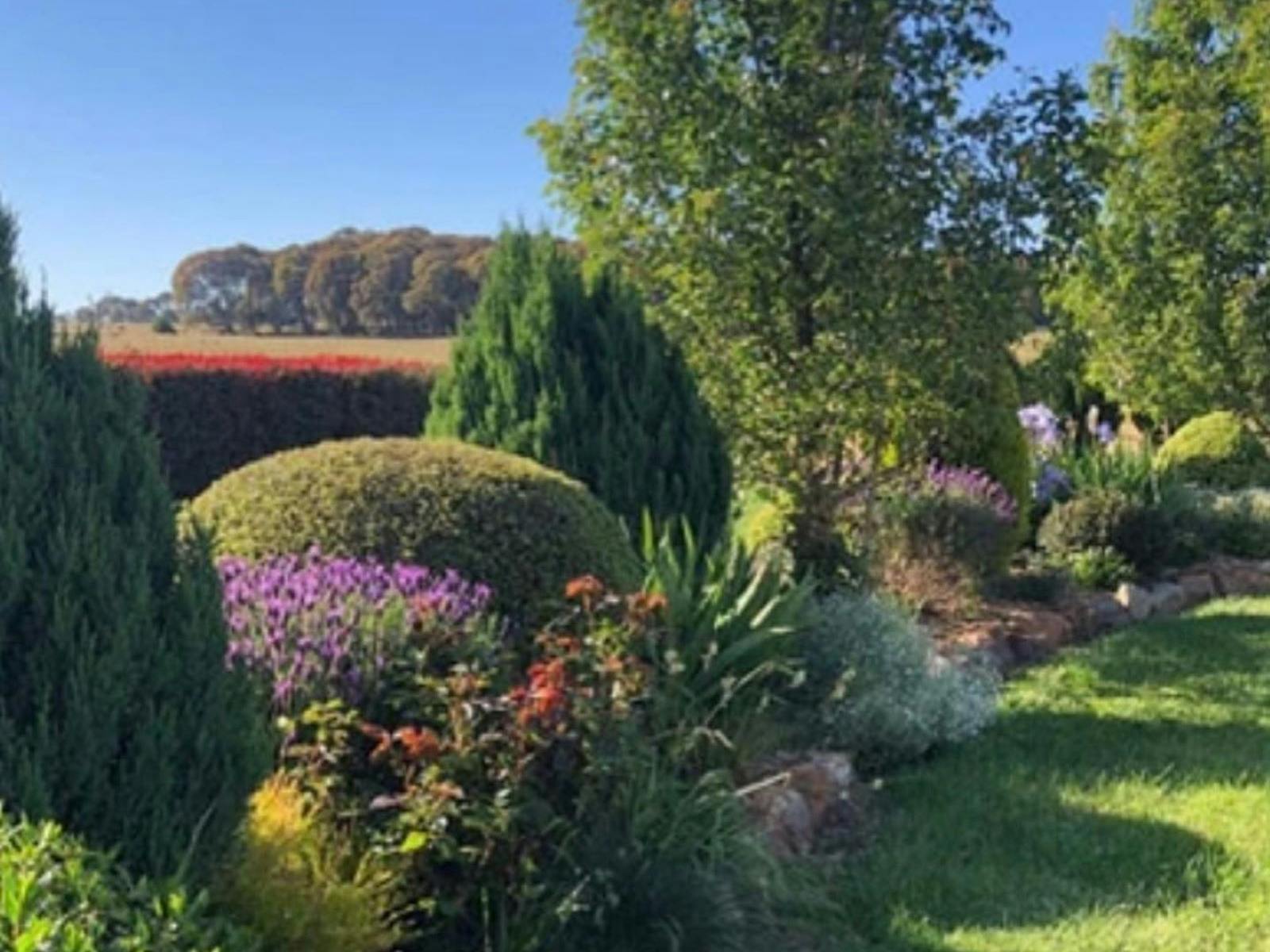 Country Garden