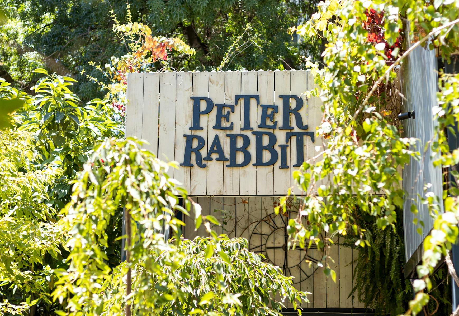 Peter Rabbit