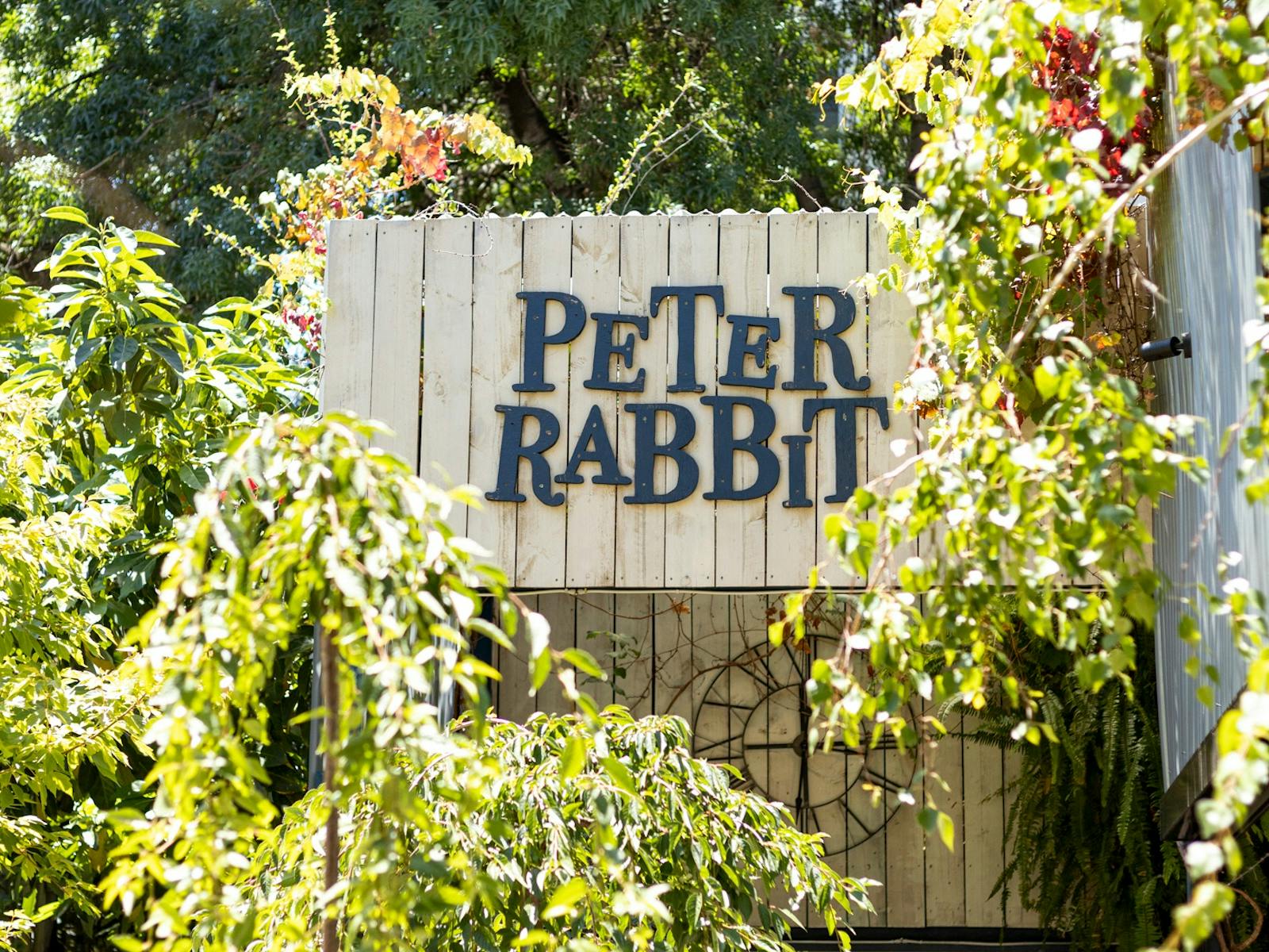 Peter Rabbit Slider Image 7