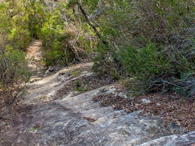 Lovers Walking Track