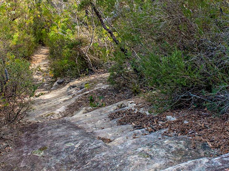 Lovers walking track, Morton National Park. Photo: Michael Van Ewijk