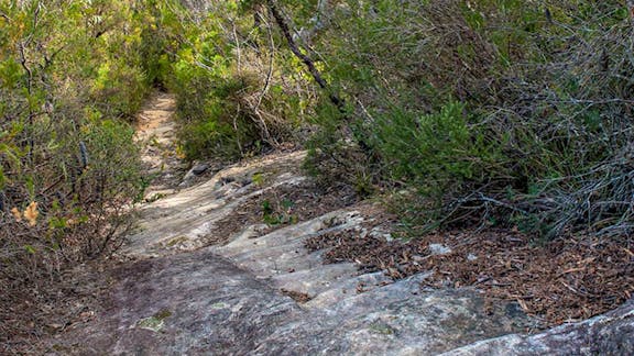 Lovers Walking Track