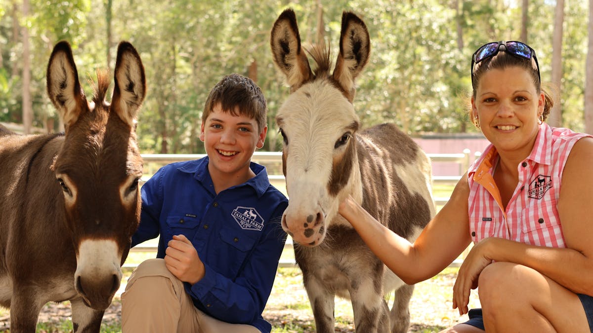 Milo and Mocha are Miniature Donkeys, who love having their photo taken.