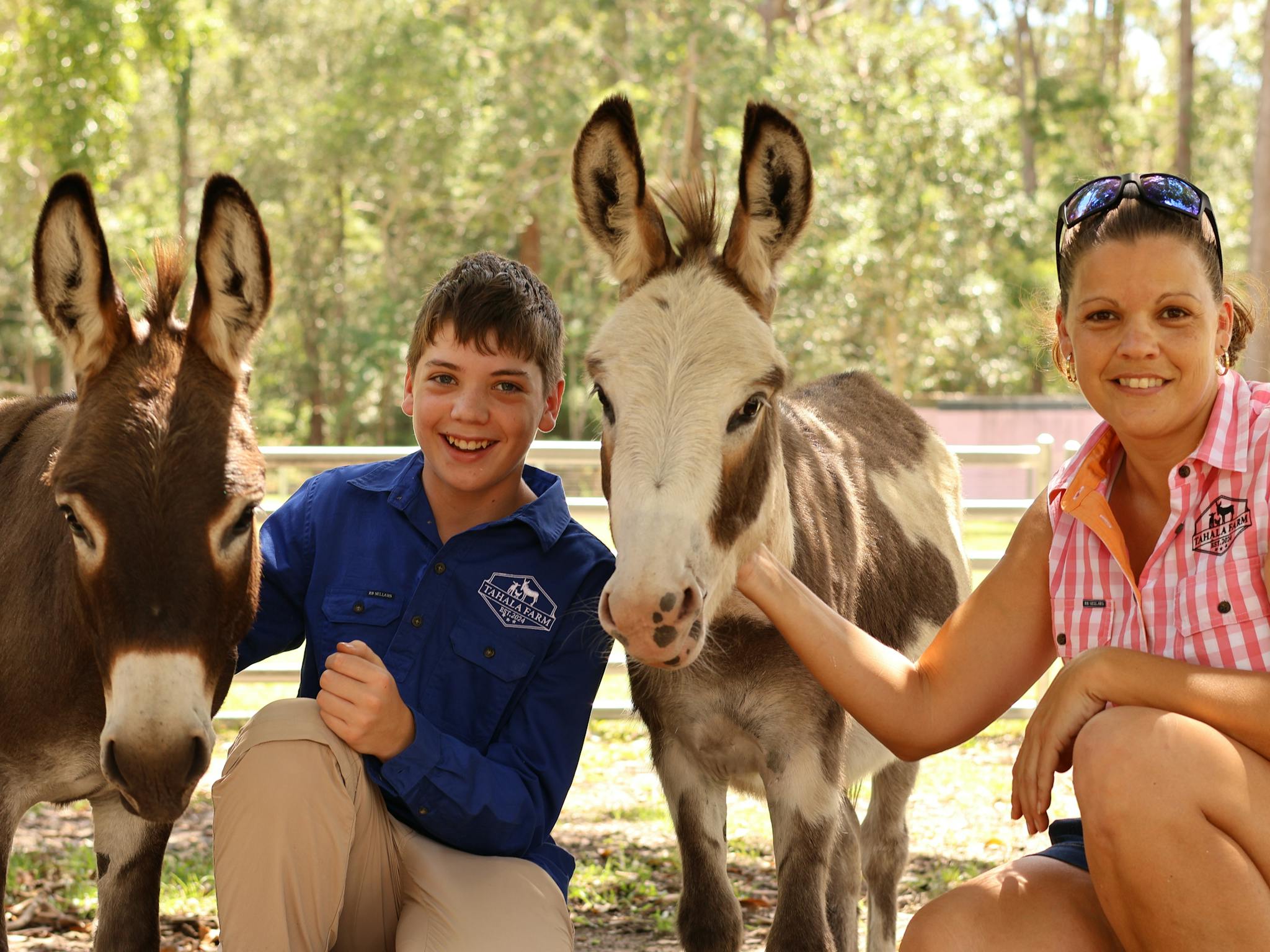 Milo and Mocha are Miniature Donkeys, who love having their photo taken. Milo and Mocha are Miniature Donkeys, who love having their photo taken.