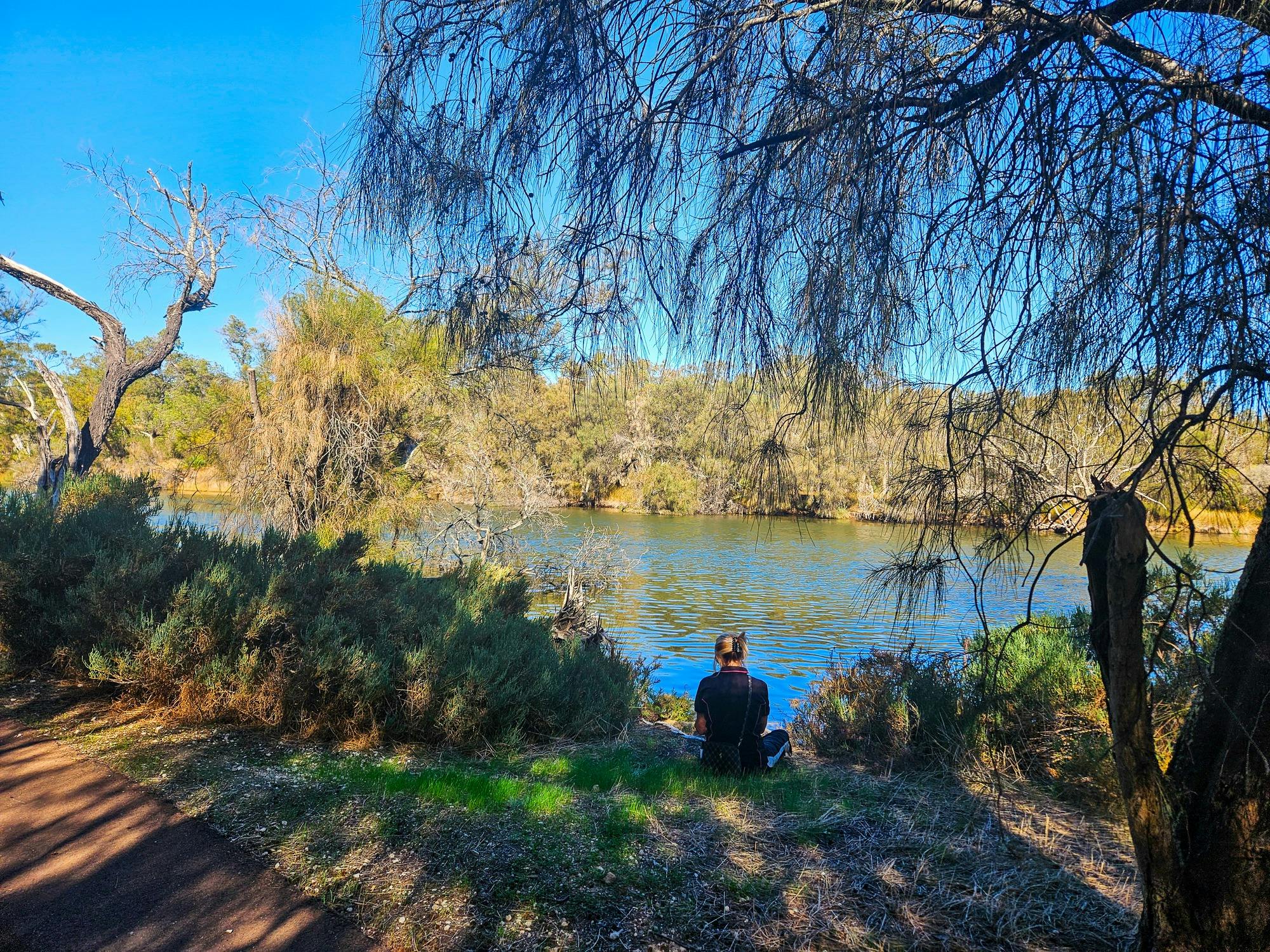 Forest Bathing - Serpentine River