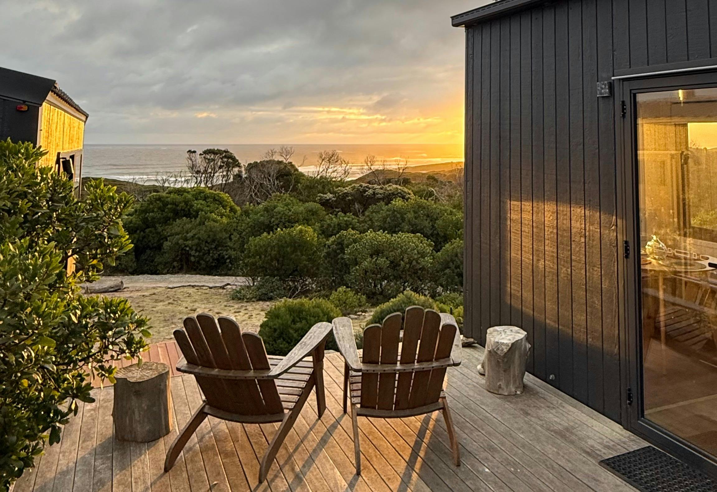 Olearia King Island