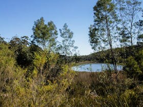 Thirlmere Lakes walking track