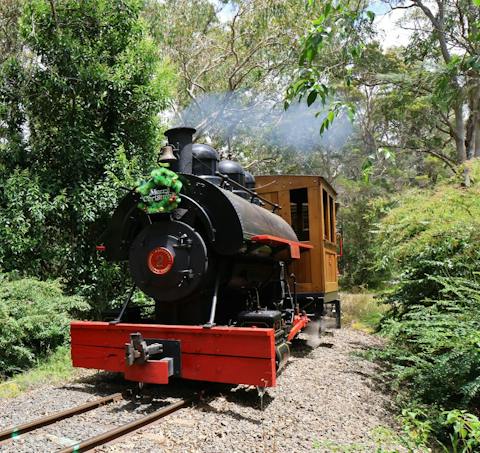 Steamer ILRM