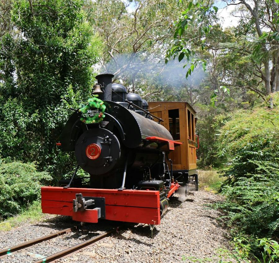 Steamer ILRM