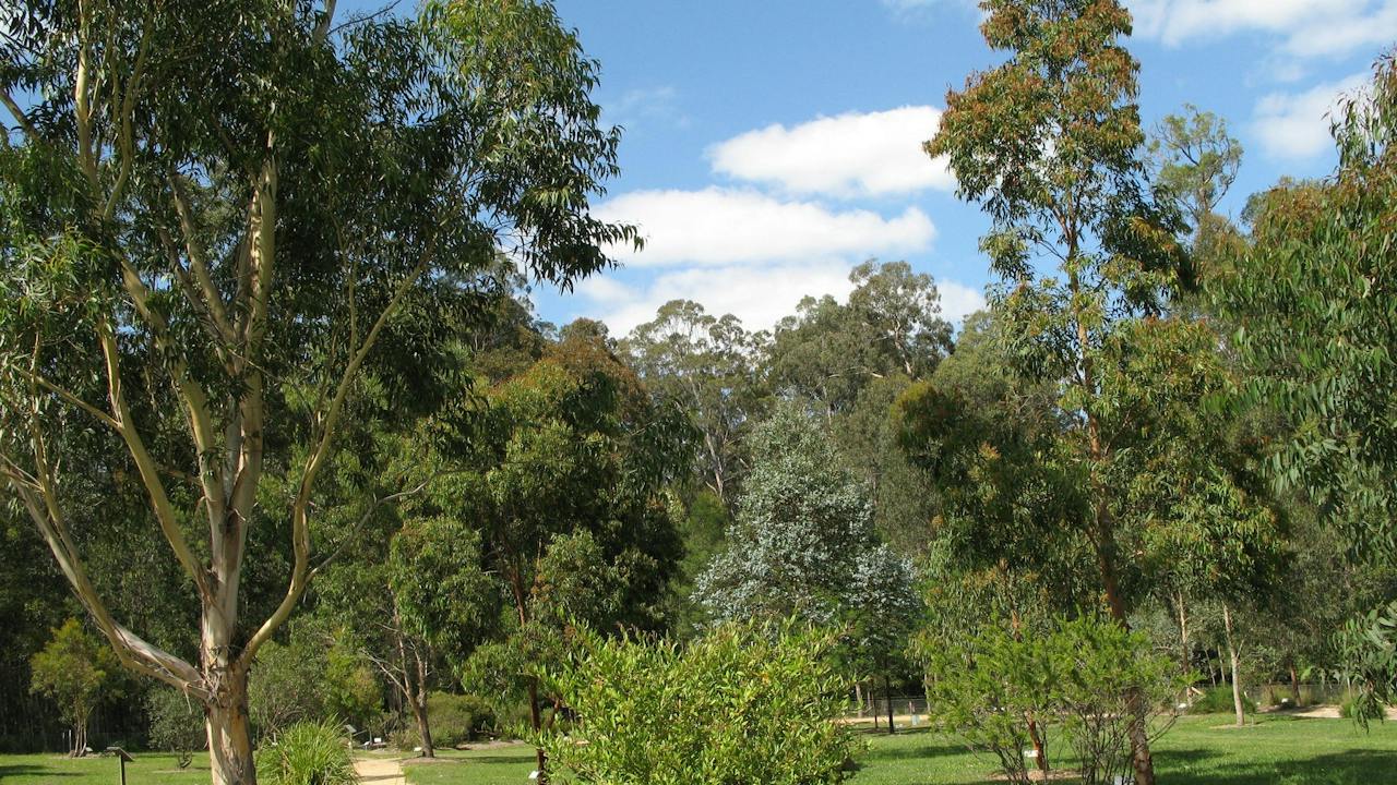 Eurobodalla Regional Botanic Garden Walks