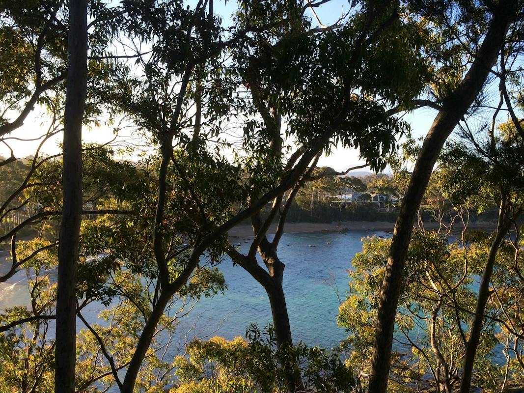 Snorkelling Sunshine Cove Beach