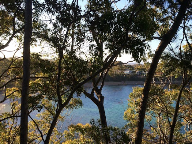 Snorkelling Sunshine Cove Beach