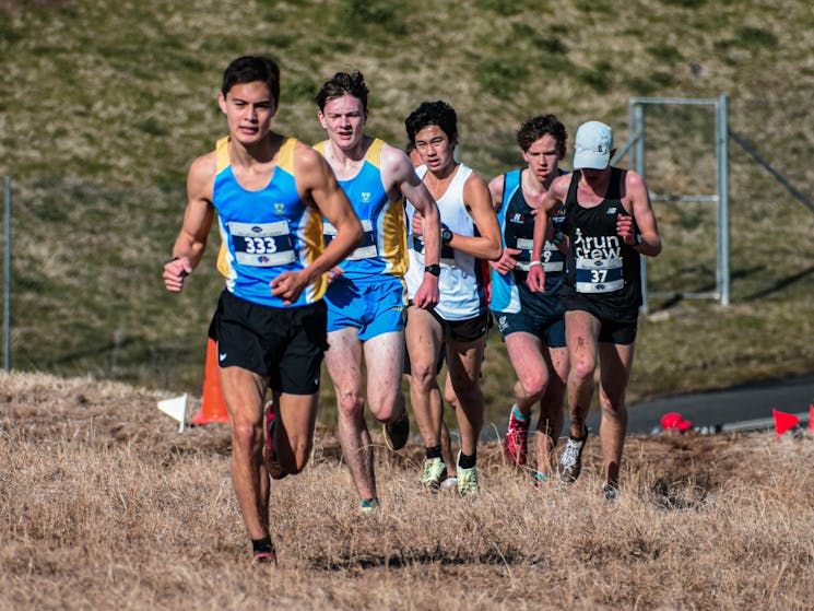 Mass racing at the World Athletics Cross Country Championships