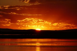 Mundoo Island Station and Coorong Tours