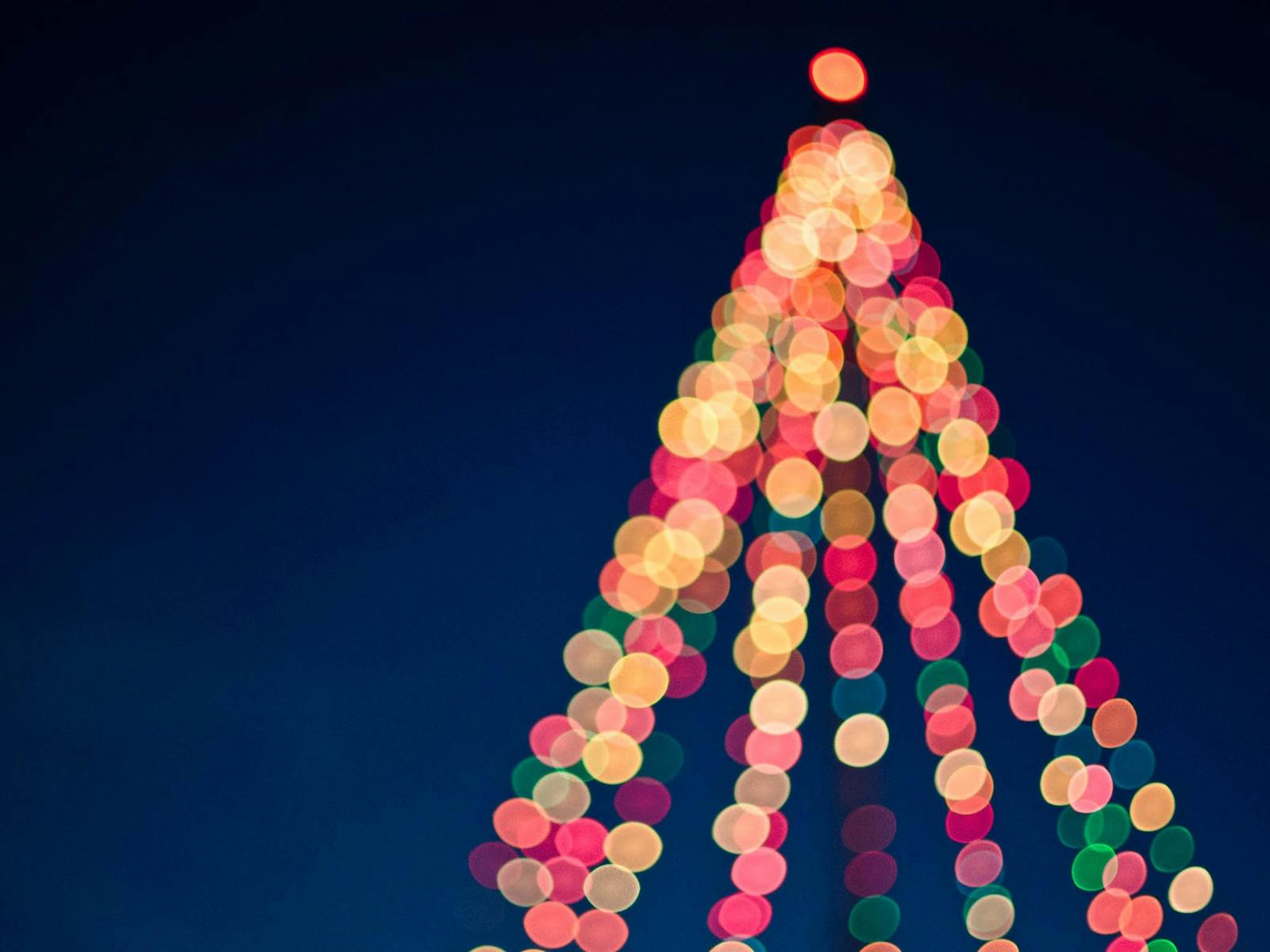 Image for Carols of Hope