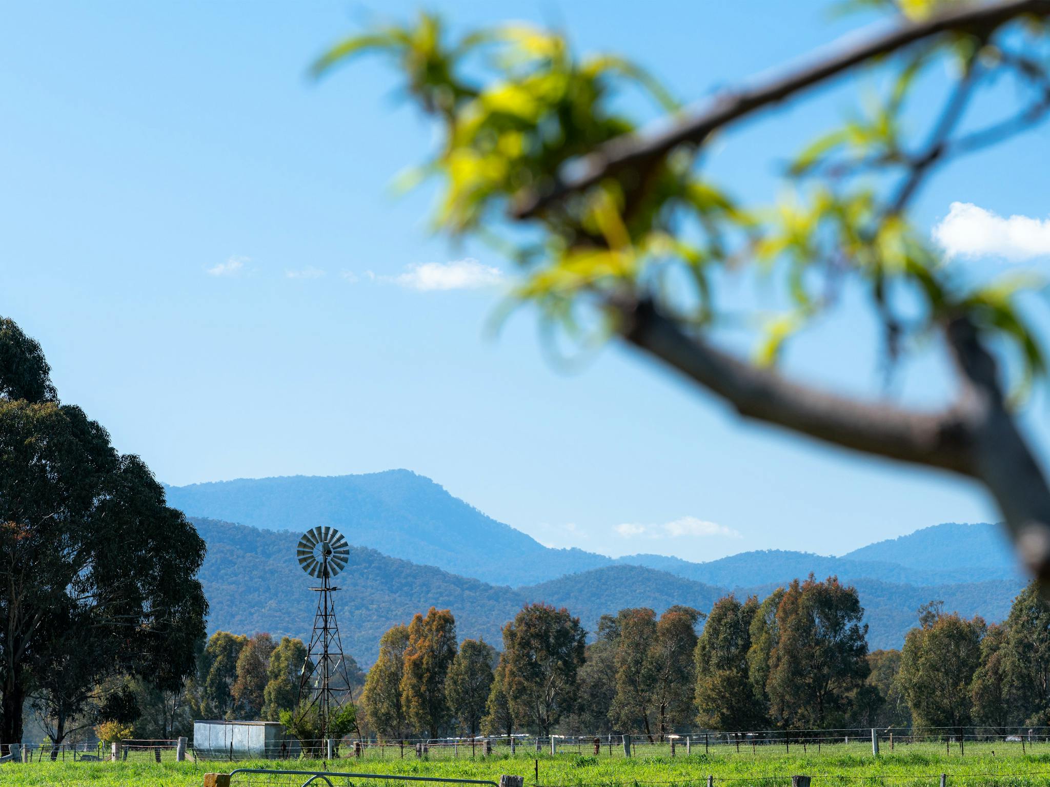 The High Country from the kitchen window