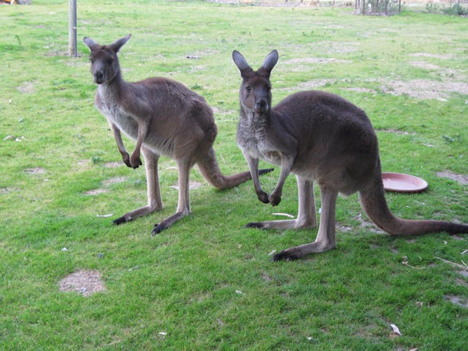 Woodcroft Park
