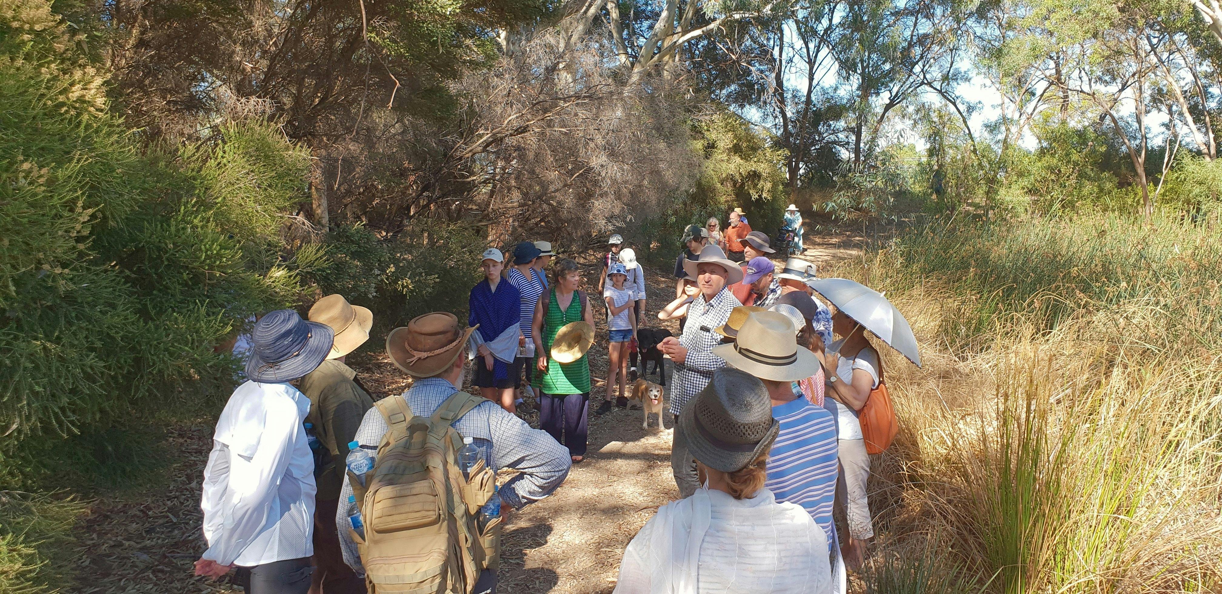 Guided Walk participants on the bushland trail