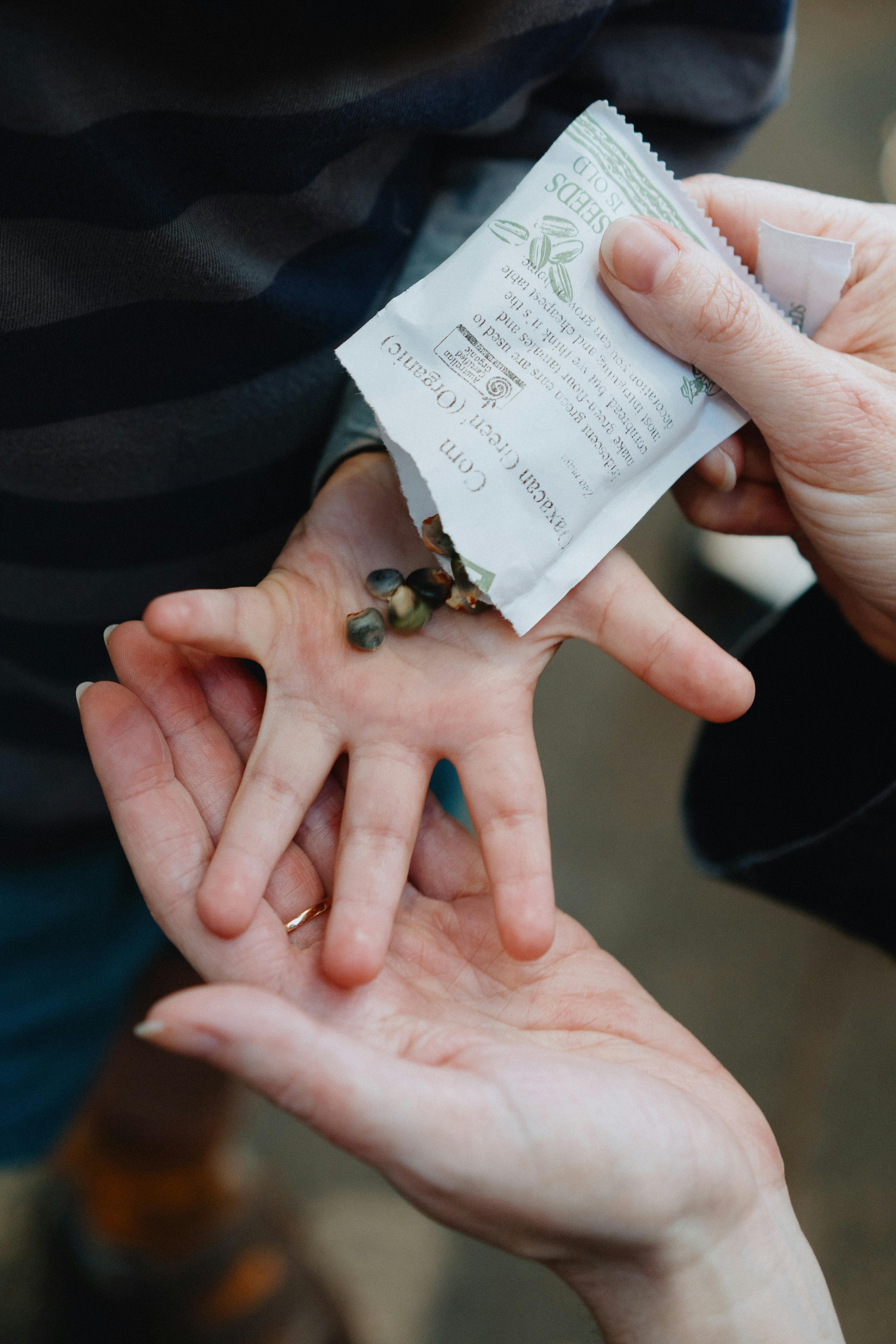 seeds