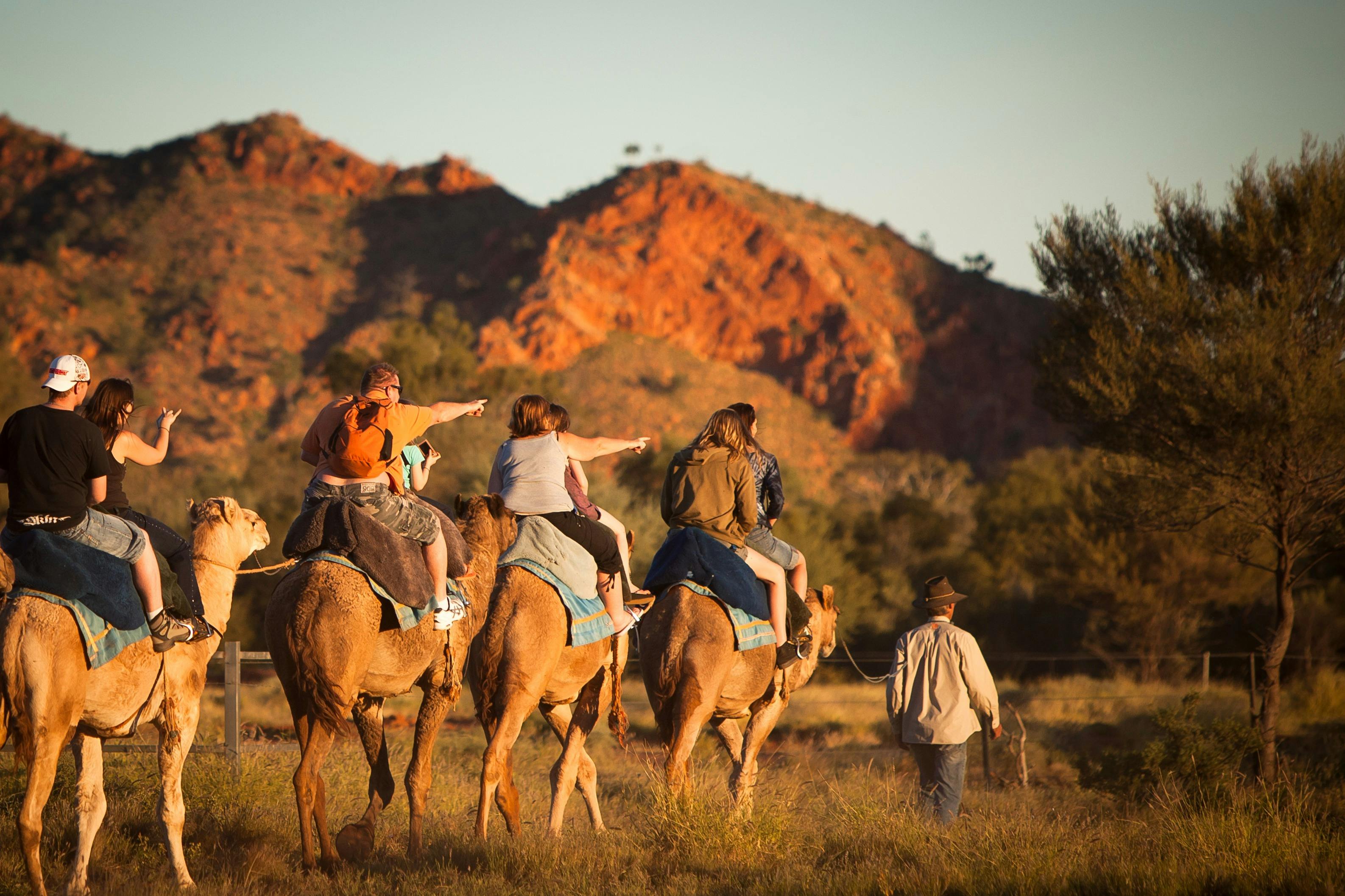 camel riding northern territory