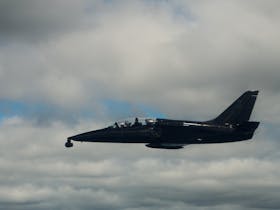 L39 Jet