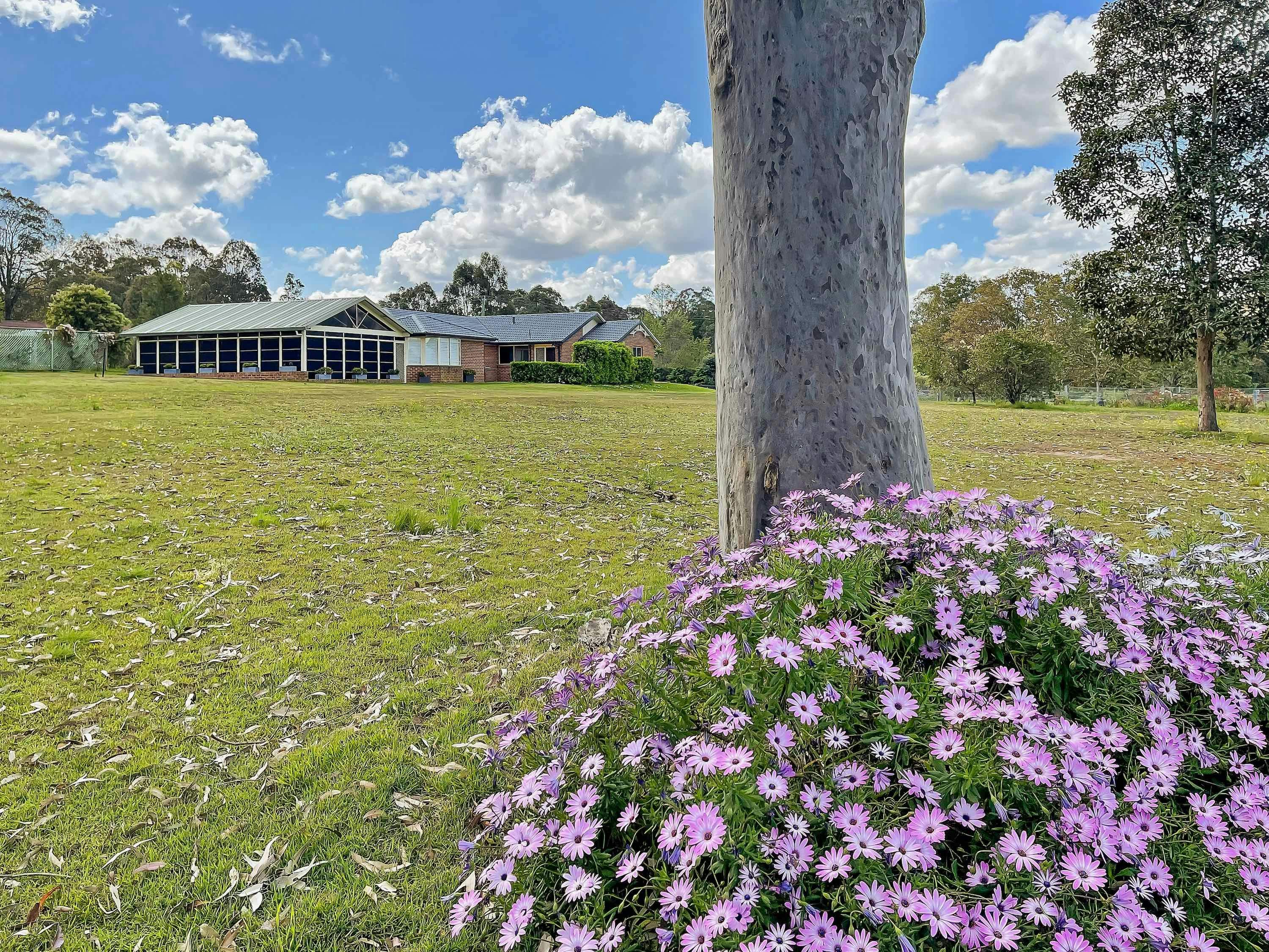 House from rear of property